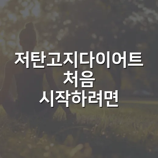 저탄고지다이어트 처음 시작하려면 이렇게 해도 괜찮습니다 - 요약