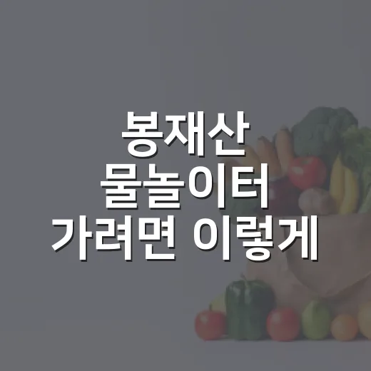 봉재산 물놀이터 가려면 이렇게 준비하면 편해요 - 요약