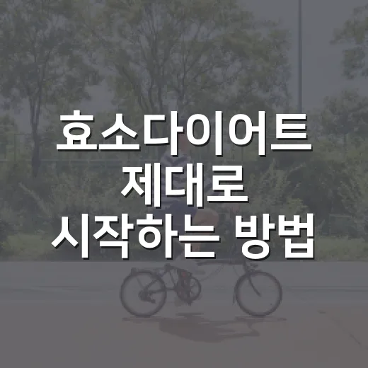 효소다이어트 제대로 시작하는 방법: 제품 고르기부터 식사 루틴까지 - 요약