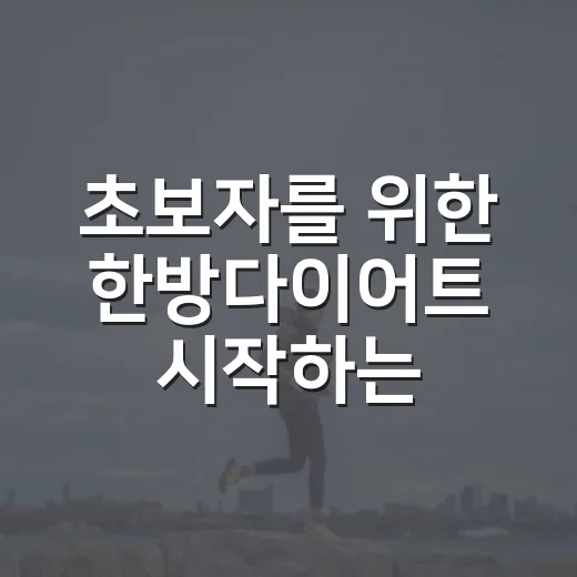 초보자를 위한 한방다이어트 시작하는 방법 - 요약