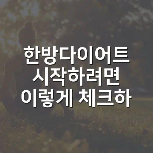 한방다이어트 시작하려면 이렇게 체크하세요 - 요약