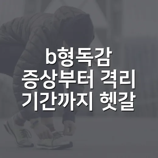 b형독감 증상부터 격리 기간까지 헷갈리지 않게 대처하는 방법 - 요약