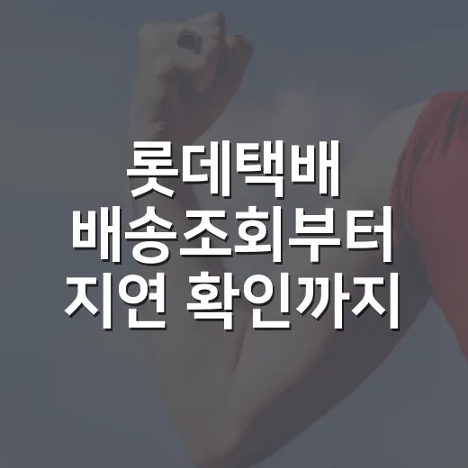 롯데택배 배송조회부터 지연 확인까지 초보자가 바로 하는 방법 - 요약