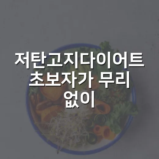 저탄고지다이어트 초보자가 무리 없이 시작하는 방법 - 요약