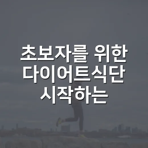 초보자를 위한 다이어트식단 시작하는 방법, 굶지 않고 꾸준히 가는 법 - 요약