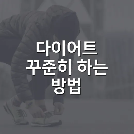 다이어트 꾸준히 하는 방법, 굶지 않고 생활 패턴부터 바꾸기 - 요약