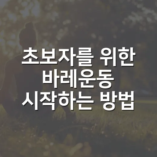 초보자를 위한 바레운동 시작하는 방법, 집에서도 무리 없이 이어가는 루틴 - 요약