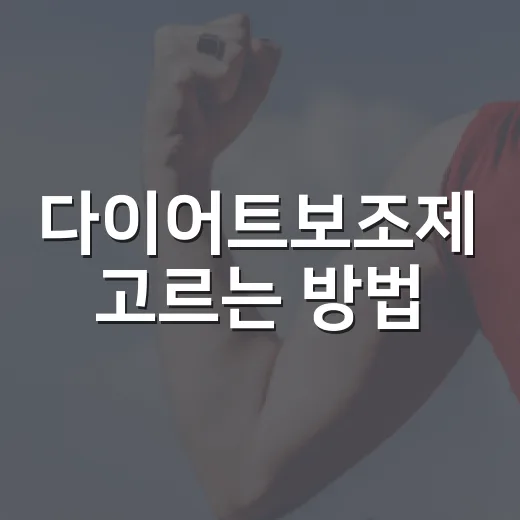 다이어트보조제 고르는 방법, 초보자가 헷갈리지 않으려면 이렇게 - 요약