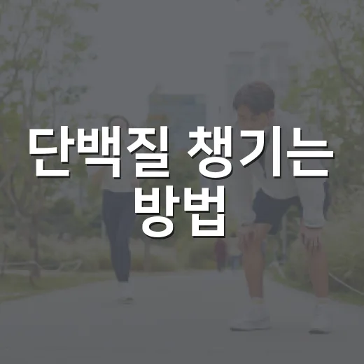 단백질 챙기는 방법, 초보자도 하루 식단에 쉽게 넣는 법 - 요약