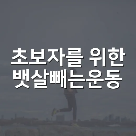 초보자를 위한 뱃살빼는운동, 집에서 꾸준히 하는 방법 - 요약