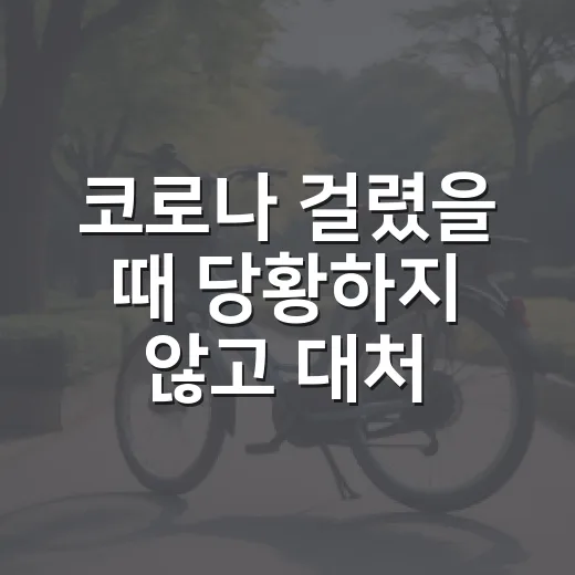 코로나 걸렸을 때 당황하지 않고 대처하는 방법 - 요약