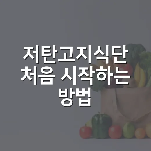 저탄고지식단 처음 시작하는 방법, 밥 줄이고 지방 늘릴 때 헷갈리는 것들 - 요약
