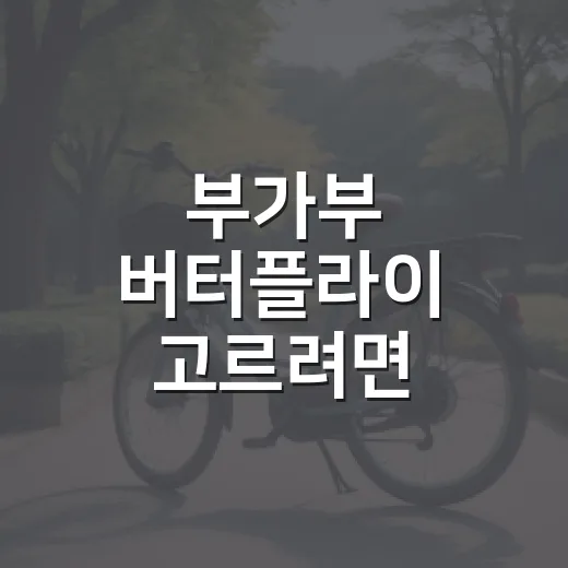 부가부 버터플라이 고르려면 이렇게 비교하세요 - 요약
