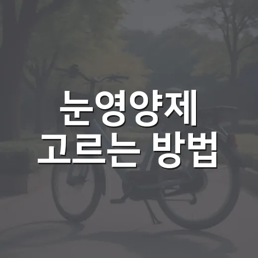 눈영양제 고르는 방법, 성분표에서 먼저 볼 것들 - 요약