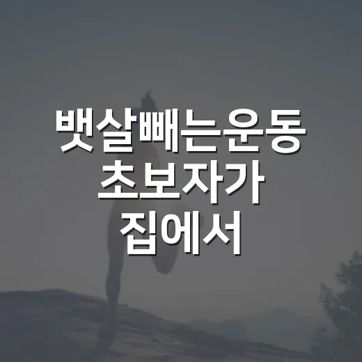 뱃살빼는운동 초보자가 집에서 시작하는 방법 - 요약