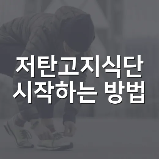 저탄고지식단 시작하는 방법, 밥 줄이기부터 천천히 가는 현실 가이드 - 요약
