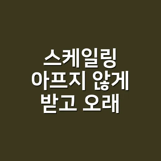 스케일링 아프지 않게 받고 오래 개운함 유지하는 방법 - 요약