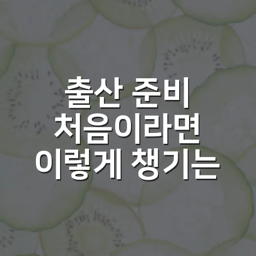 출산 준비 처음이라면 이렇게 챙기는 방법 - 요약