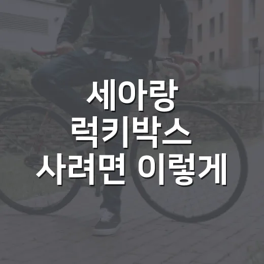 세아랑 럭키박스 사려면 이렇게 준비하면 됩니다 - 요약