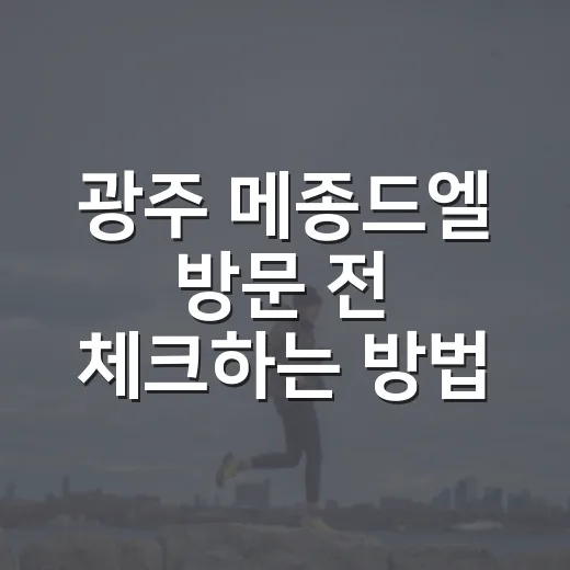 광주 메종드엘 방문 전 체크하는 방법 - 요약
