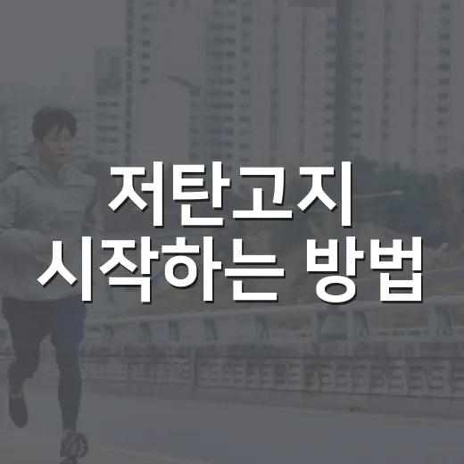 저탄고지 시작하는 방법, 초보자가 덜 힘들게 적응하려면 이렇게 - 요약