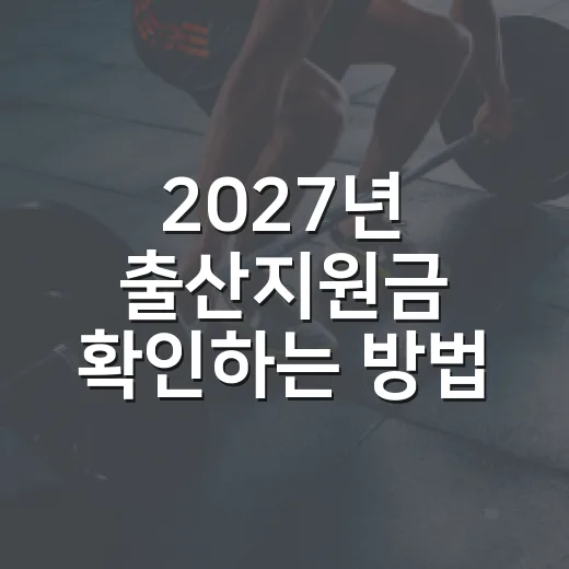 2027년 출산지원금 확인하는 방법, 우리 집은 어디서 얼마나 받을까 - 요약