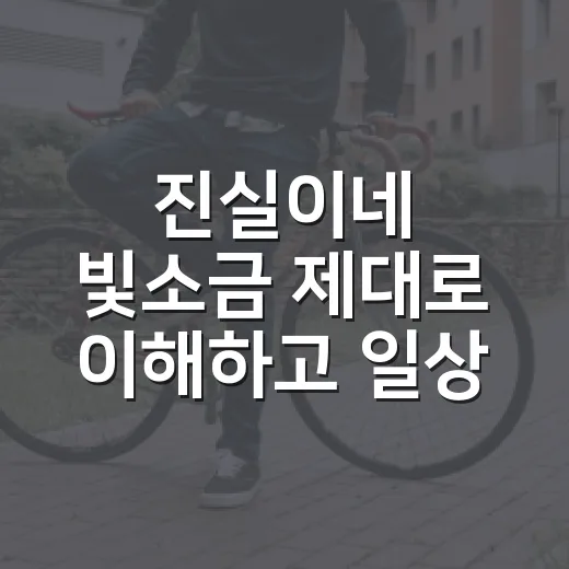 진실이네 빛소금 제대로 이해하고 일상에 활용하는 방법 - 요약