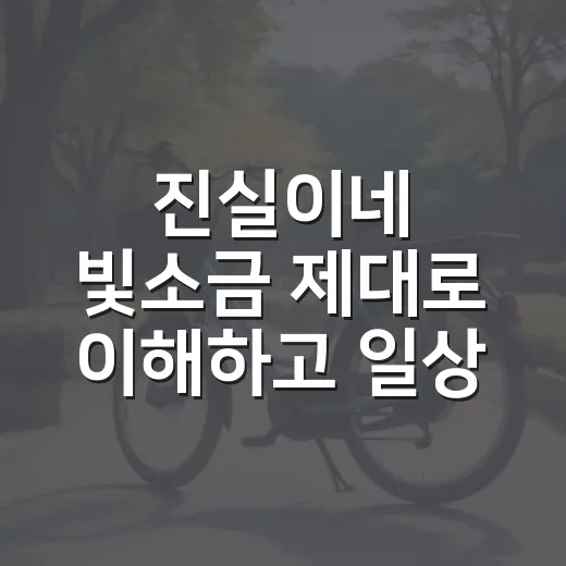 진실이네 빛소금 제대로 이해하고 일상에 활용하는 방법 - 요약