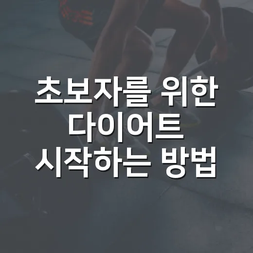 초보자를 위한 다이어트 시작하는 방법, 굶지 않고 오래 가려면 이렇게 - 요약