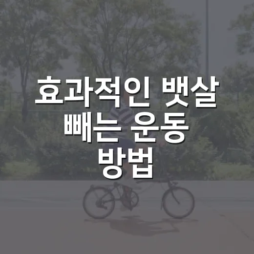 효과적인 뱃살 빼는 운동 방법 - 요약