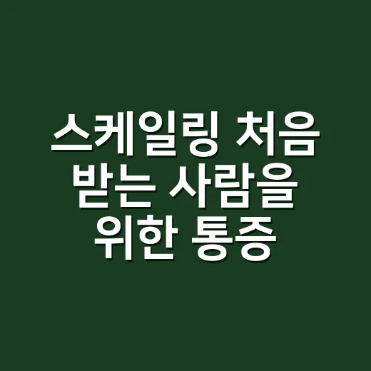 스케일링 처음 받는 사람을 위한 통증 줄이고 비용 챙기는 방법 - 요약