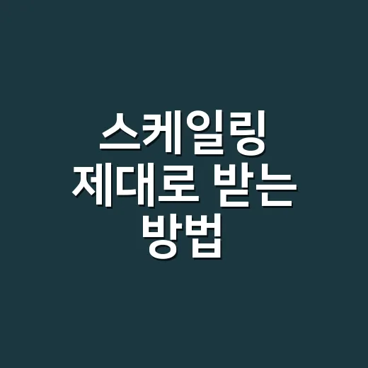 스케일링 제대로 받는 방법, 처음 가기 전 알아두면 편한 것들 - 요약