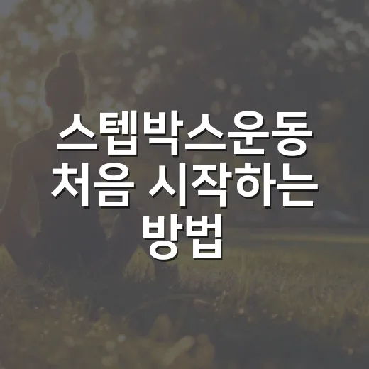스텝박스운동 처음 시작하는 방법, 무릎 부담 줄이고 꾸준히 하는 루틴 - 요약