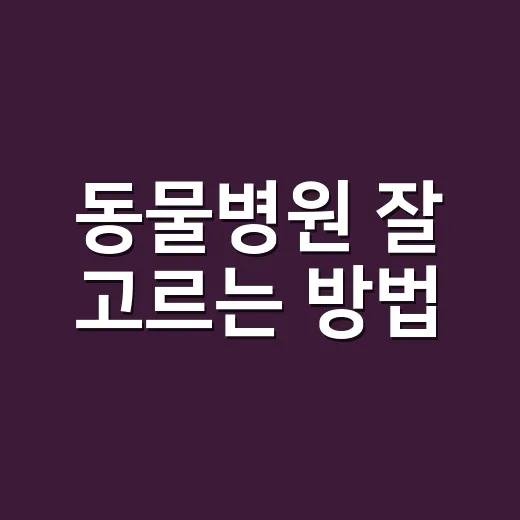 동물병원 잘 고르는 방법, 첫 방문 전 확인하면 좋은 기준 - 요약