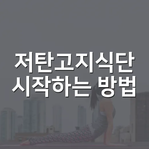 저탄고지식단 시작하는 방법: 초보자가 덜 흔들리게 바꾸는 순서 - 요약