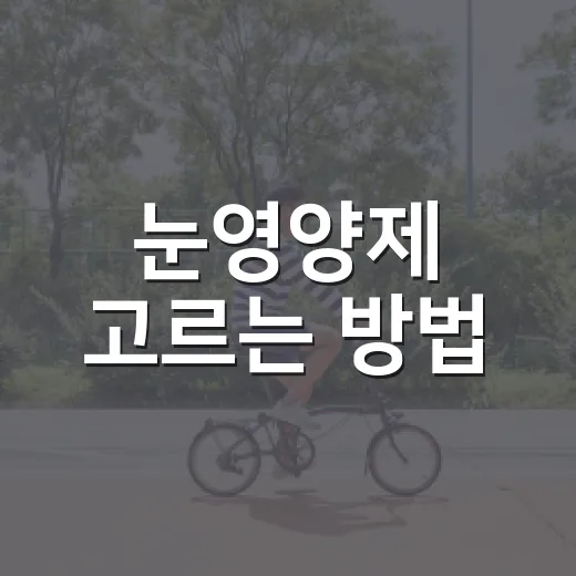 눈영양제 고르는 방법, 루테인 함량부터 복용 전 체크까지 - 요약