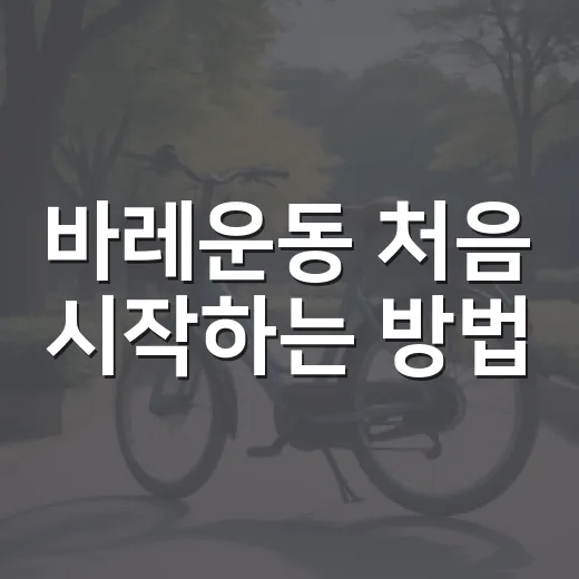 바레운동 처음 시작하는 방법, 초보자가 덜 헤매려면 이렇게 - 요약