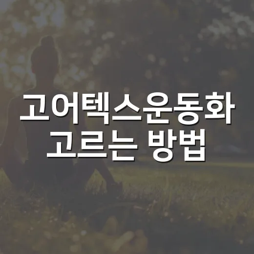 고어텍스운동화 고르는 방법, 비 오는 날 발 편하려면 이렇게 - 요약