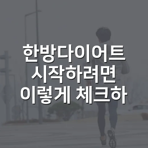 한방다이어트 시작하려면 이렇게 체크하면 덜 흔들립니다 - 요약