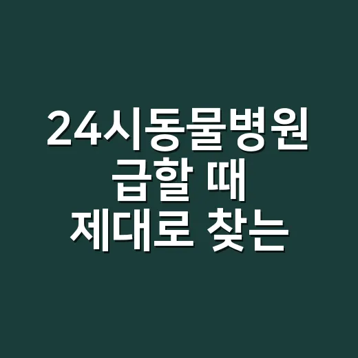 24시동물병원 급할 때 제대로 찾는 방법 - 요약