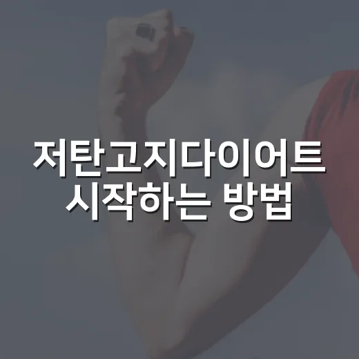 저탄고지다이어트 시작하는 방법, 무리 없이 식단 짜려면 이렇게 - 요약