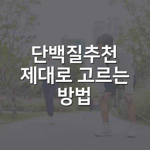 단백질추천 제대로 고르는 방법, 초보자는 이렇게 시작하면 편해요 - 요약