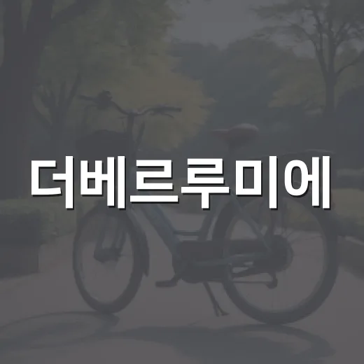 더베르루미에: 특별한 경험을 위한 방법 - 요약