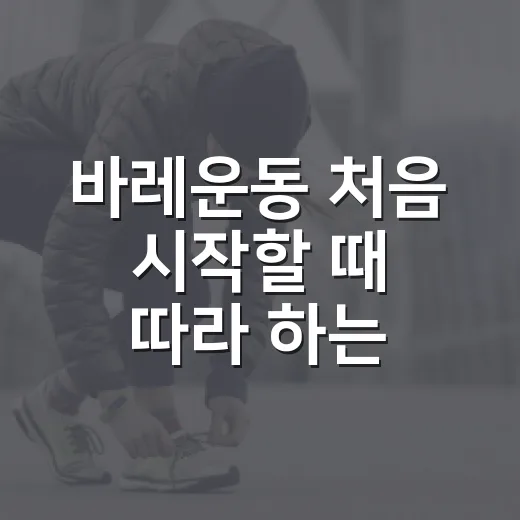 바레운동 처음 시작할 때 따라 하는 방법 - 요약