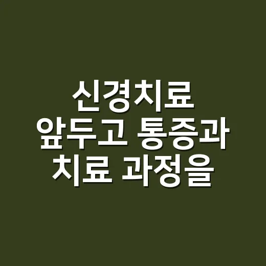 신경치료 앞두고 통증과 치료 과정을 준비하는 방법 - 요약
