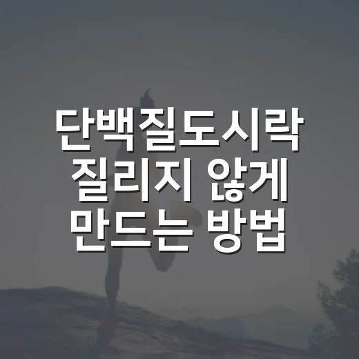 단백질도시락 질리지 않게 만드는 방법 - 요약