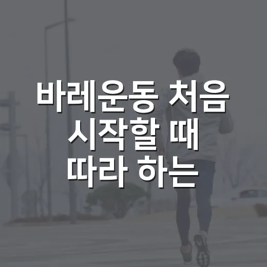 바레운동 처음 시작할 때 따라 하는 방법 - 요약