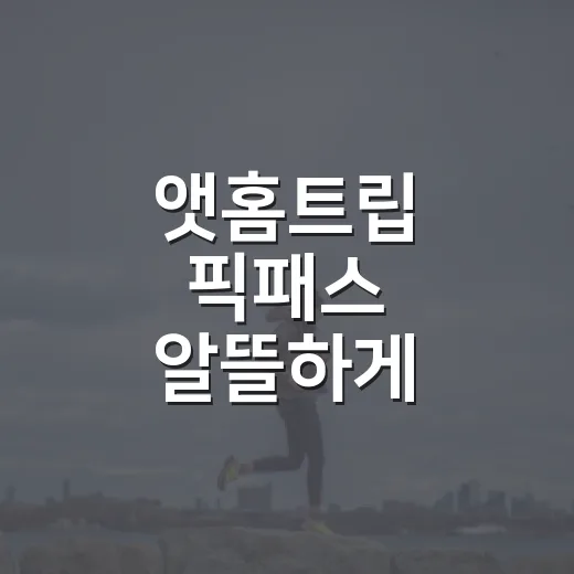 앳홈트립 픽패스 알뜰하게 이용하는 방법 - 요약