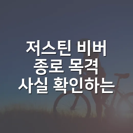 저스틴 비버 종로 목격 사실 확인하는 방법 - 요약