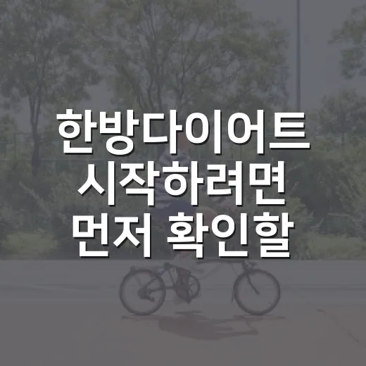 한방다이어트 시작하려면 먼저 확인할 것들 - 요약